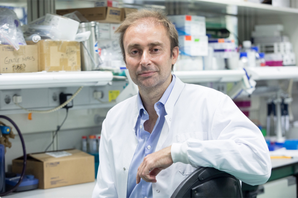 Dr. Miguel Angel Quintela Fandiño. Director médico de TNC PREVENIR. Jefe del Programa de Investigación Clínica del Centro Nacional de Investigaciones Oncológicas (CNIO)