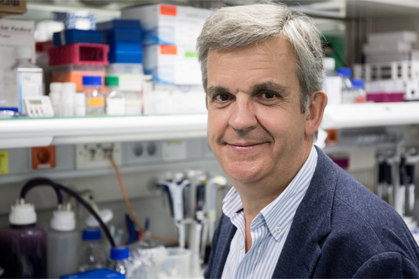 Dr. José Carlos Quintela. Director de operaciones en TNC PREVENIR. 