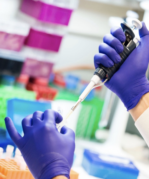 Investigaciones científicas han logrado detener e incluso revertir el envejecimiento