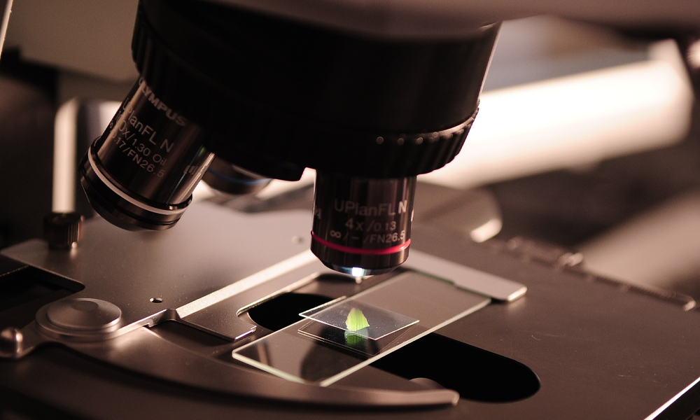 TNC PREVENIR: Tenemos ya la información necesaria para modificar algunos de los procesos biológicos que producen el envejecimiento.